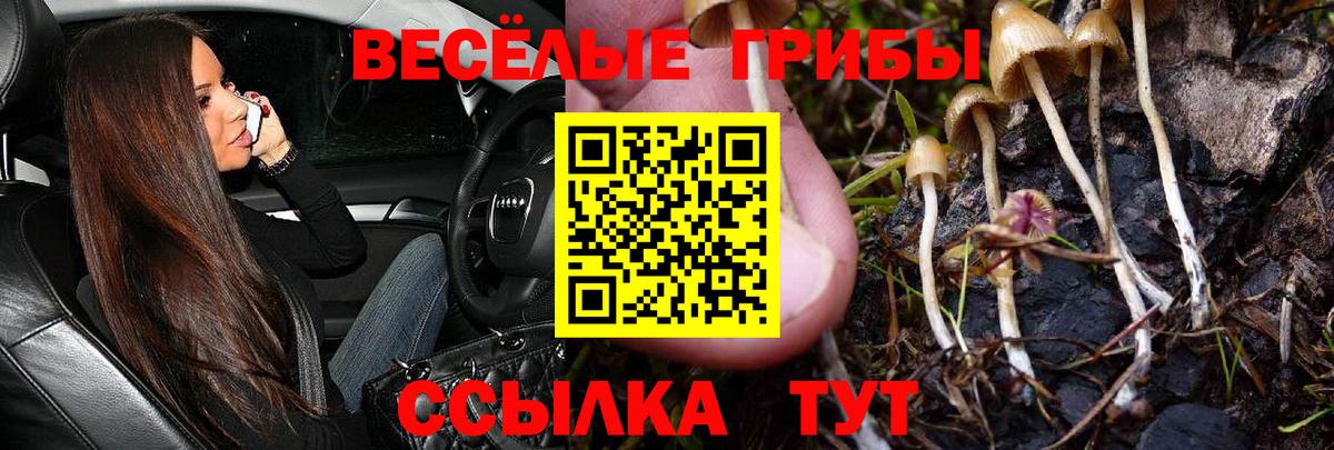 Галлюциногенные грибы мицелий  Вход с VPN  Щёлково 