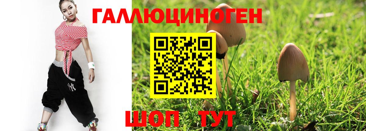 Псилоцибиновые грибы Psilocybe Щёлково